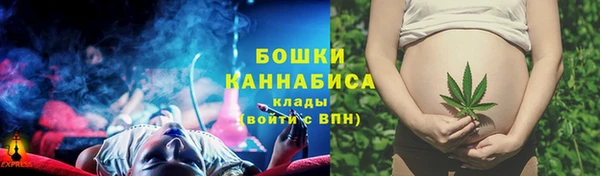 PSILOCYBIN Абаза