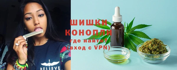 PSILOCYBIN Абаза