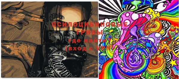 PSILOCYBIN Абаза