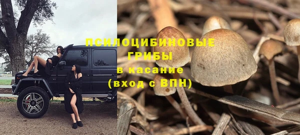 PSILOCYBIN Абаза